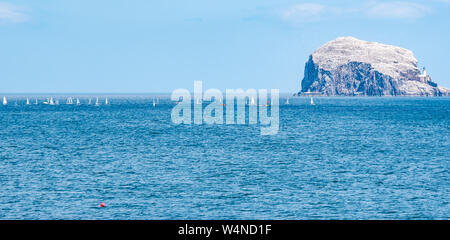 North Berwick, East Lothian, Scotland, United Kingdom, 24 July 2019. RS Aero Challenge Cup: East Lothian Yacht Club hosts the sailing regatta with 80 sailing dinghies competing for a challenge handicap cup ahead of the UK National & International Open championship which takes place over 4 days from tomorrow. The dinghies race around a course in the Firth of Forth near the Bass Rock gannet colony with thousands of gannets flying around them Stock Photo
