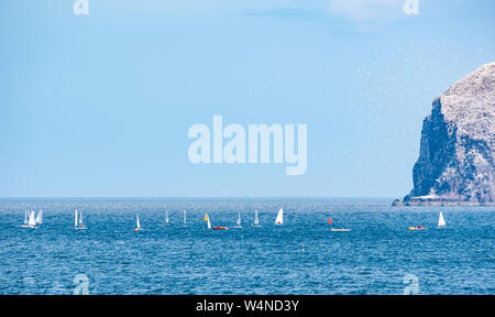 North Berwick, East Lothian, Scotland, United Kingdom, 24 July 2019. RS Aero Challenge Cup: East Lothian Yacht Club hosts the sailing regatta with 80 sailing dinghies competing for a challenge handicap cup ahead of the UK National & International Open championship which takes place over 4 days from tomorrow. The dinghies race around a course in the Firth of Forth near the Bass Rock gannet colony with thousands of gannets flying around them Stock Photo