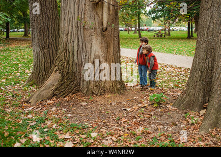 two little boys carefully investigate the trunk of a tree Stock Photo