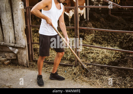 Young agricultural worker posing in a cowshed. Stock Photo