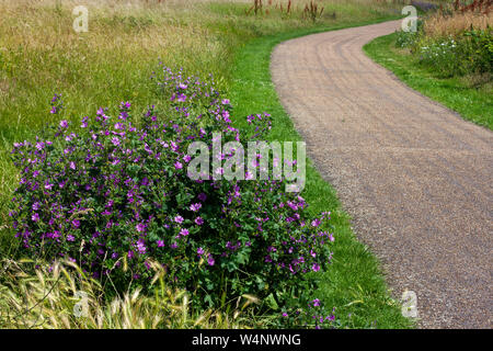 Curved road leading through a peaceful meadow Stock Photo