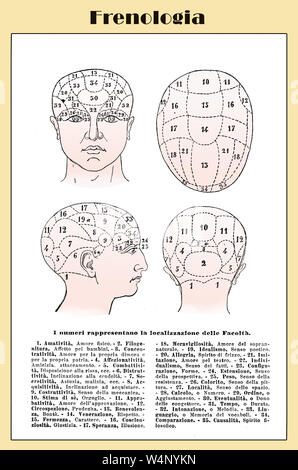 Alternative and pseudo-medicine: phrenology cart  about the brain localization of mental functions, vintage table early '900 Stock Photo