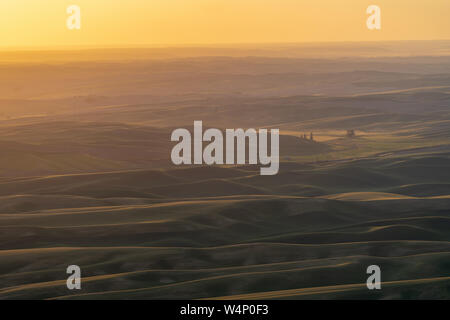 Golden hour sunset aerial view of The Palouse region of Eastern Washington State, as seen from Steptoe Butte State Park, of the rolling farmland and h Stock Photo