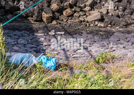 plastic waste on the banks of a harbor in the Netherlands Stock Photo