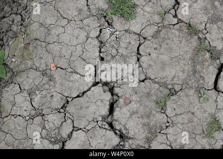 multiple cracks in a dry mud path. Stock Photo