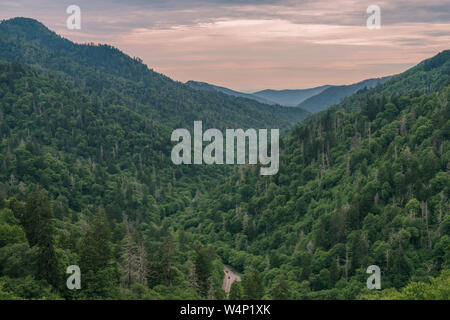 Great Smoky Mountains National Park, North Carolina, USA - June 19, 2018: Sunrise Landscape Great Smoky Mountains National Park Gatlinburg TN and Ocon Stock Photo
