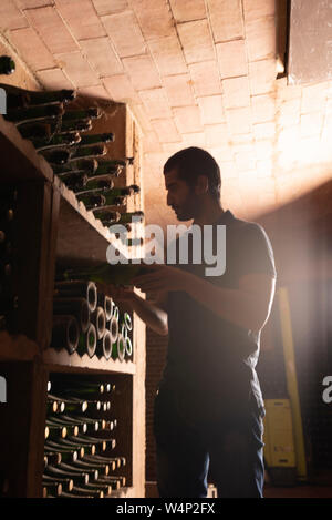 Side view of man standing in cellar and putting bottle of Cava sparkling wine on shelf, Penedes region, in Catalonia, Spain Stock Photo