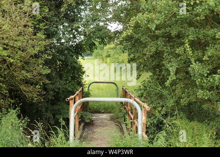 A bridge over a small stream, cutting through a tree line. Stock Photo