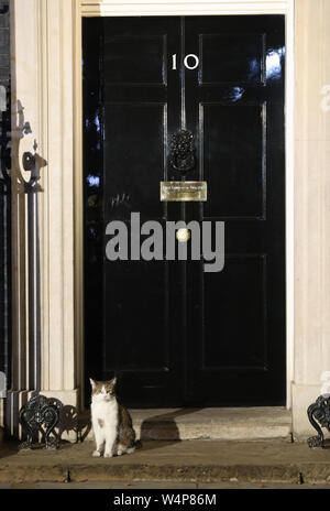 Larry the cat waits to enter Downing Street, London, on the day Boris Johnson became the new Prime Minister. Stock Photo