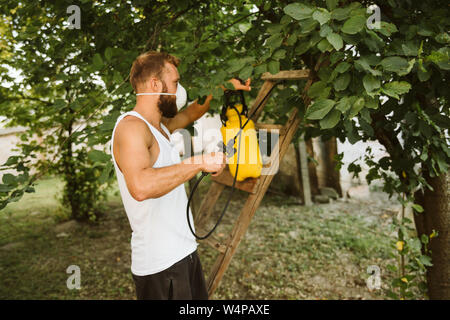 Hard work always brings successful effects Stock Photo