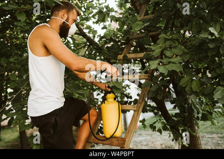 Hard work always brings successful effects Stock Photo