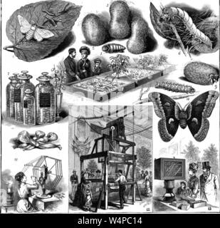 Engraved drawings of the silk industry exhibition in New York, from the 'Scientific American' journal, 1882. Courtesy Internet Archive. () Stock Photo