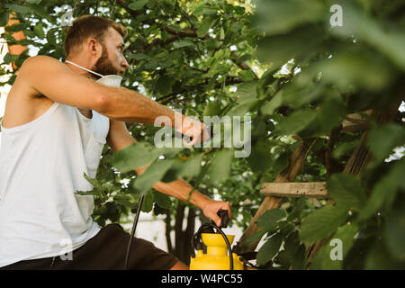 Hard work always brings successful effects Stock Photo