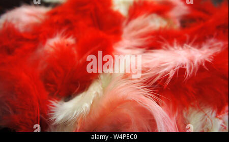 red, pink, white fluffy feathers background. colored feathers close-up photo. Stock Photo