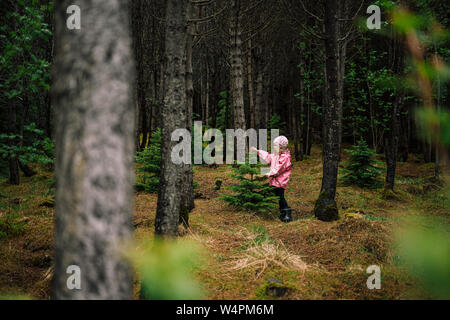 Side view of curious girl touching spruce crown standing in dark coniferous forest near Reykjavik Stock Photo