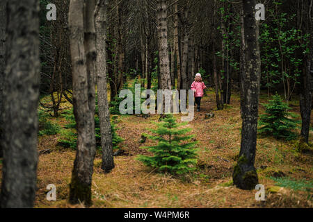 Brave little girl in pink jacket walking in dark mossy forest of Iceland among old trees Stock Photo