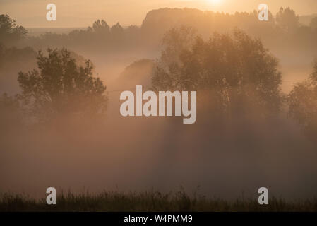 Fog at sunrise at Pewsey Vale, Wiltshire UK Stock Photo
