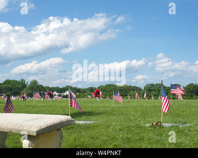 Cemetery on Memorial Day with flay on every grave stone low angle view Stock Photo