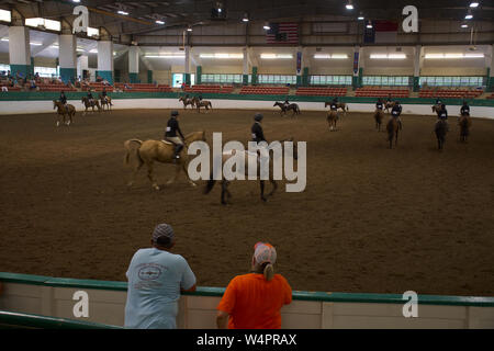 James B. Hunt Jr. Horse Complex Arena In Raleigh NC Stock Photo - Alamy