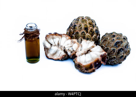 Organic floral essence of custard apple or sitaphal or sugar apple in a small transparent bottle isolated on white used in many flavored beverages wit Stock Photo