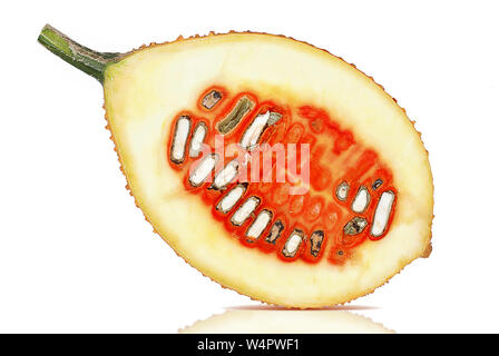 Fresh Baby jackfruit on white background Stock Photo