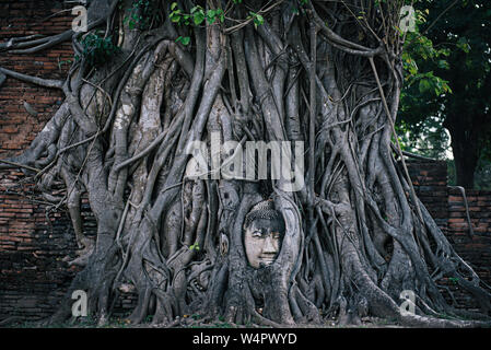 Ayutthaya Buddha Head statue with trapped in Bodhi Tree roots at Wat Mahathat (Ayutthaya). Ayutthaya historical park Thailand. Stock Photo