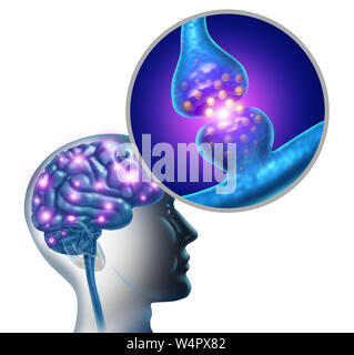 Brain nerve cell synapse and neuron function anatomy sending an electrical signal as a neurology mind science diagram concept related to memory. Stock Photo