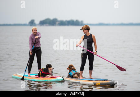 Steinhude, Germany. 11th July, 2019. Svea (l) and Stephanie Pohler are on stand-up paddle boards with the Australian Shepherds 'Barney' (l) and 'Lio'. On the Steinhuder Lake a course for stand-up paddling with dogs is offered. Credit: Christophe Gateau/dpa/Alamy Live News Stock Photo