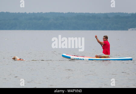 Steinhude, Germany. 11th July, 2019. Susanne Marunde follows the Australian Shepherd 'Zoi' with a stand-up paddle board. On the Steinhuder Lake a course for stand-up paddling with dogs is offered. Credit: Cindy Riechau/dpa/Alamy Live News Stock Photo
