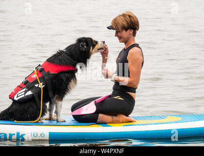 Steinhude, Germany. 11th July, 2019. Svea Pohler rewards the Australian Shepherd 'Barney' with a piece of cheese. On the Steinhuder Lake a course for stand-up paddling with dogs is offered. Credit: Cindy Riechau/dpa/Alamy Live News Stock Photo