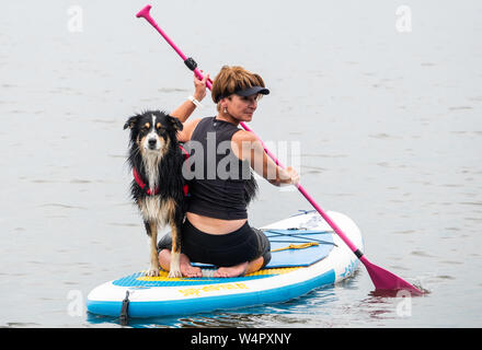 Steinhude, Germany. 11th July, 2019. Stephanie Pohler sits on a stand-up paddle board with the Australian Shepherd 'Barney'. On the Steinhuder Lake a course for stand-up paddling with dogs is offered. Credit: Cindy Riechau/dpa/Alamy Live News Stock Photo