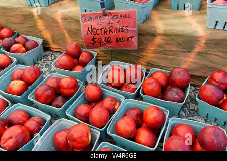 Cardboard containers of fresh organic nectarines for sale at a farmers market in Kitsilano, Vancouver, BC, Canada Stock Photo