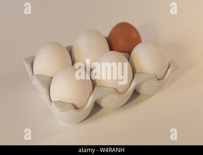 Six eggs in pottery; one browm and five white eggs Stock Photo