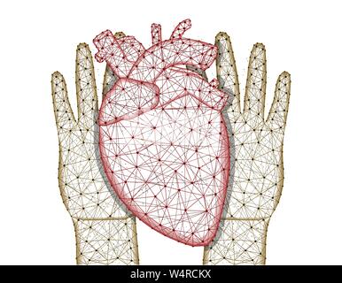 Hands and human heart low poly design, human organ in polygonal style, cardiology wireframe vector illustration made from points and lines on a white Stock Vector