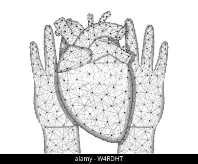 Hands and human heart low poly design, human organ in polygonal style, cardiology wireframe vector illustration made from points and lines on a white Stock Vector