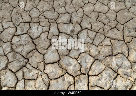 A dried out and cracked riverbed Stock Photo