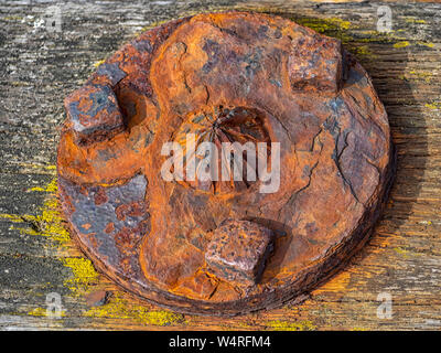 Old Rusty Plate and Bolts in wooden beam Stock Photo
