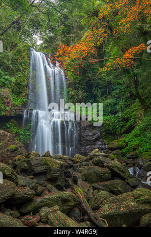 Cascading waterfall on rocks in autumn forest, New Taipei City, Taiwan Stock Photo