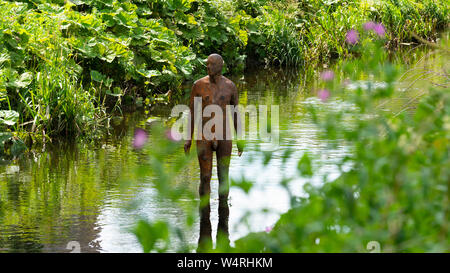 Antony Gormley '6 Times' 'Right' sculpture in the Water of Leith in Edinburgh, Scotland, UK. comprising six life-size figures, positioned between the Stock Photo