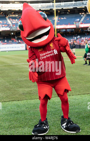 New York, NY - July 24, 2019: Sporting CP mascot lion Jubas as seen on the  pitch