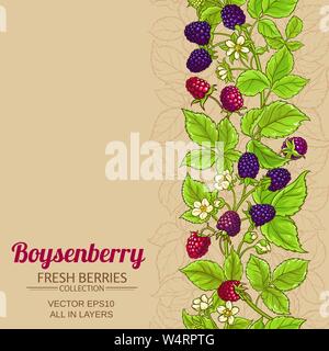 boysenberry vector pattern on color background Stock Vector