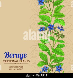 borage vector frame on color background Stock Vector