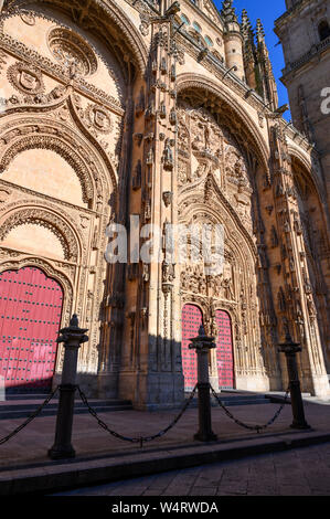 Evening light on the sandstone facade of the New Cathedral, Salamanca, Spain. Stock Photo