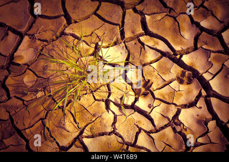 Infertile land burned by the sun: famine and poverty concept Stock Photo