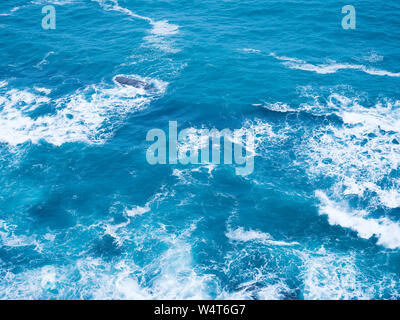 Blue frothy surface of the sea water from above Stock Photo