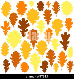 Autumn oak leaves set on white background vector Stock Vector