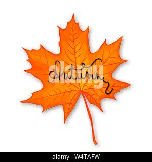 Autumn vector background with maple leaf on white Stock Vector