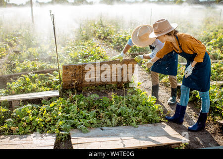 Two young beautifully dressed farmers examining snails growing process on the field with automatic watering during the sunset outdoors Stock Photo