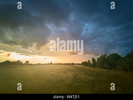 Evening landscape with field and forest edge at sunset. The sky is covered with dark storm clouds Stock Photo