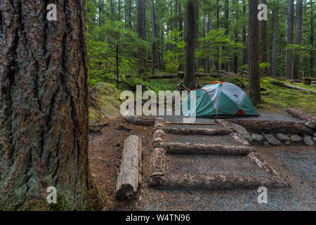 Ohanapecosh Campground located in a lush forest in Mount Rainier National Park. Stock Photo